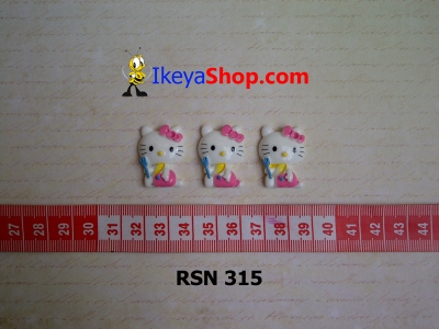 rsn 315  large2